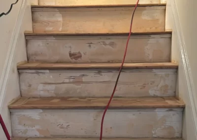 Reliable Painting Services